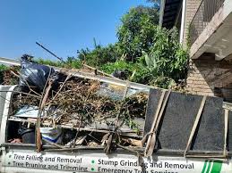 Best Dumpster Rental Services  in Banning, CA